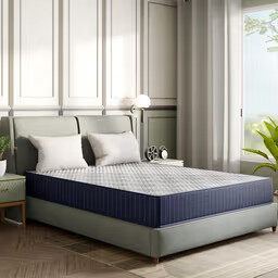 Wakefit Spinecore Firm Plus ActiveCool Mattress
