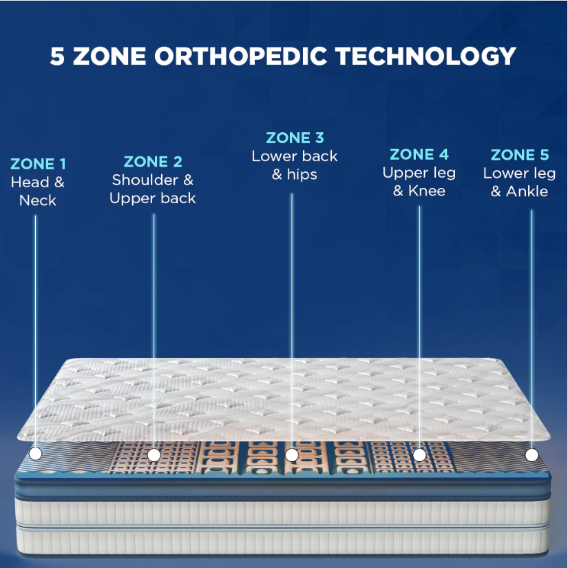 Duroflex Up Right 5 Zone Orthopedic Rebonded Foam  Mattress